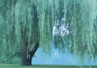 무라카미 하루키 깊이 읽기Ⅱ: 상실의 미학, 회복의 서사