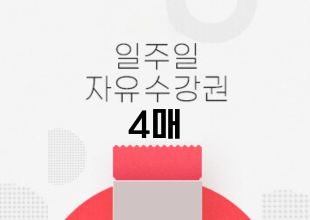 일주일 프래패스 4매